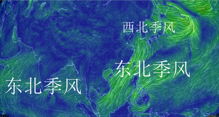 下图是亚洲冬季风,和上图对比着看吧,东北季风