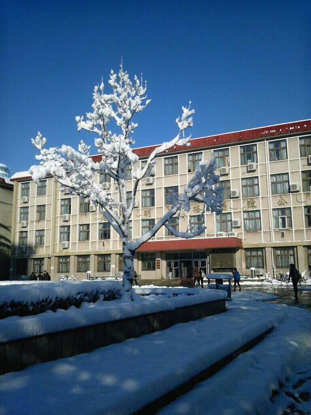在中国政法大学就读是怎样的一番体验?