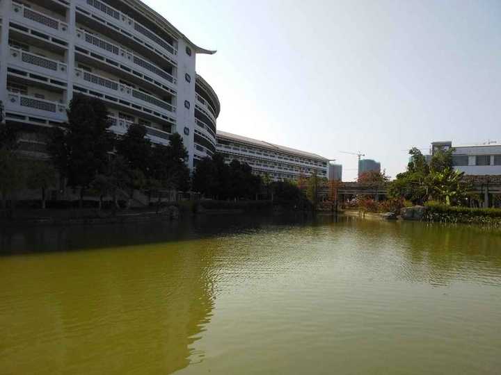 在广州市玉岩中学就读是一种怎样的体验?