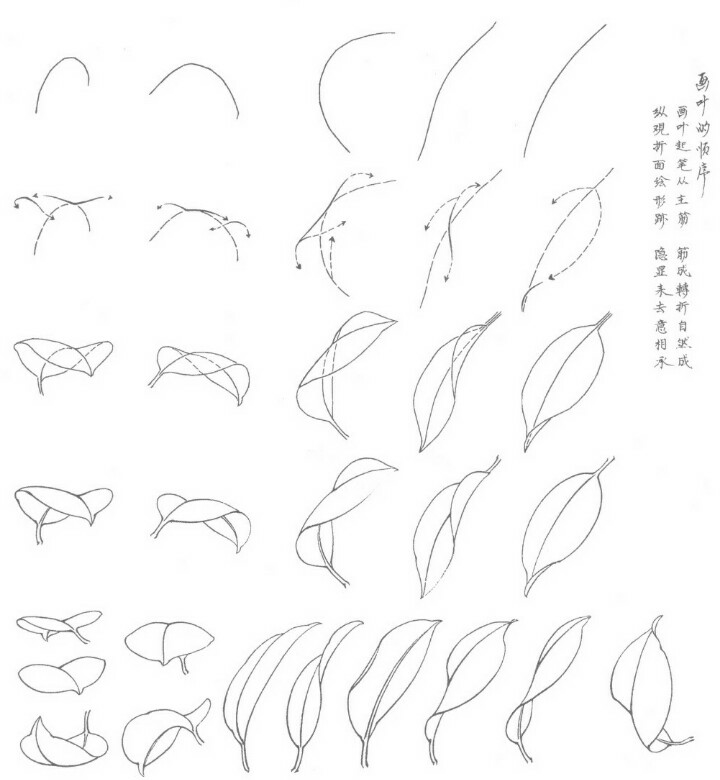 作为新手或者入门时间不长的画画er来说是一个很好的提升过程.