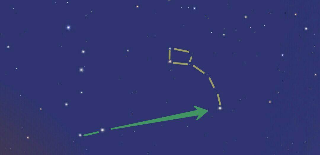 最亮星:勾陈一(北极星)   3,天琴座(夏)4,天鹅座(夏)  这两个星座都