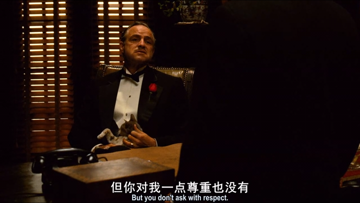  ——马里奥普佐《教父》