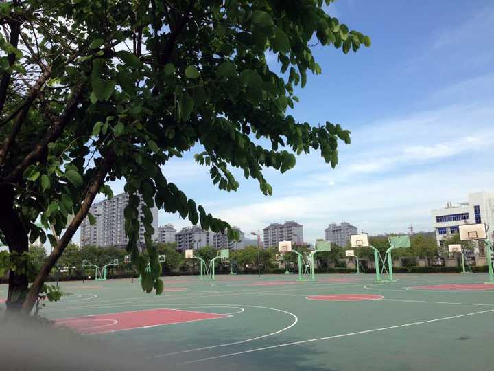 在浙江省苍南中学就读是一番怎样的感受?