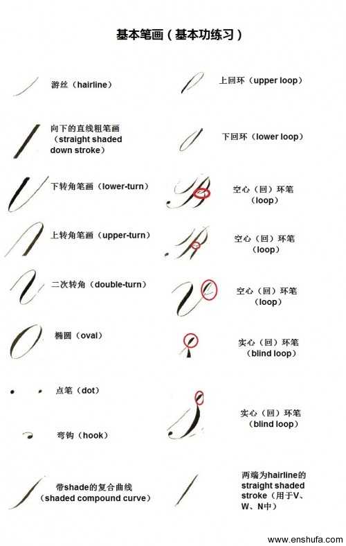 怎么练习英文书法copperplate engraver"s script?
