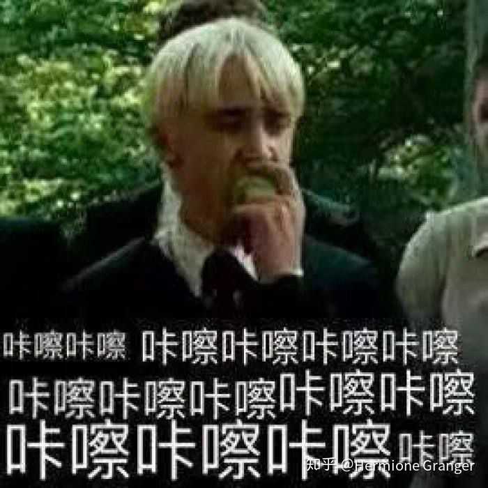 一类是哈利波特的表情包,另一类是熊猫人