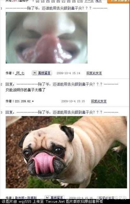 有哪些「能笑死人」的笑话?