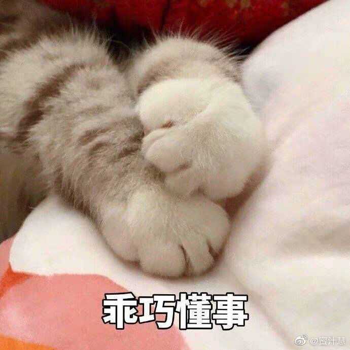 有哪些可爱的表情包?