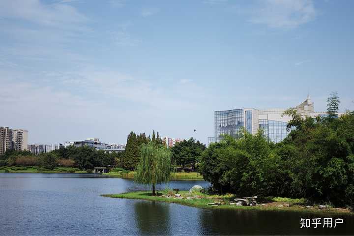 四川大学江安校区明远湖 拍摄者:刘沛昕