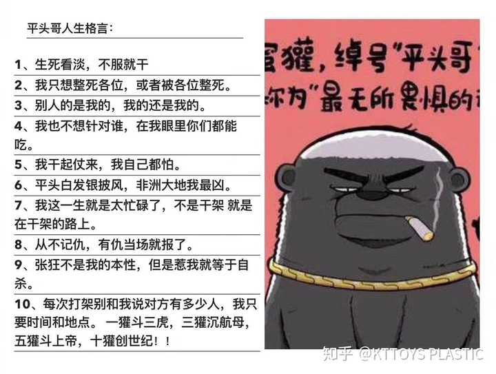 再附上平头哥名言