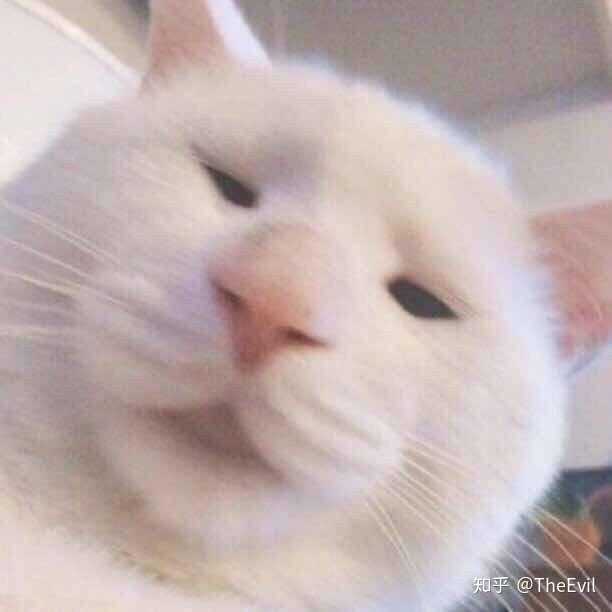 有没有什么适合女孩子的沙雕头像?