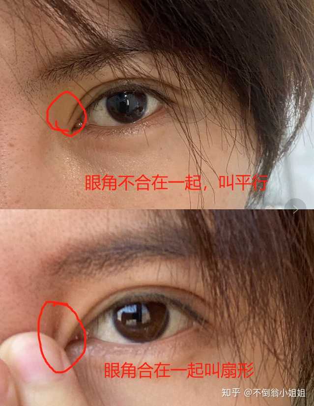 看到最近流行割小平扇双眼皮,小平扇是属于什么形状?
