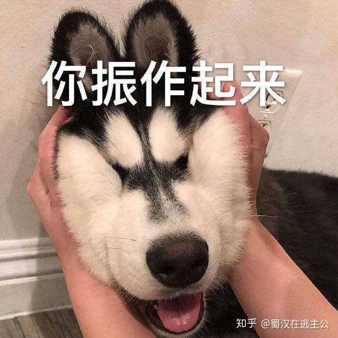 科目二考了两次,心态崩了怎么办?