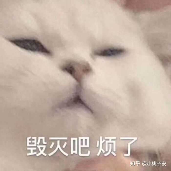 有什么可爱沙雕的微信头像?