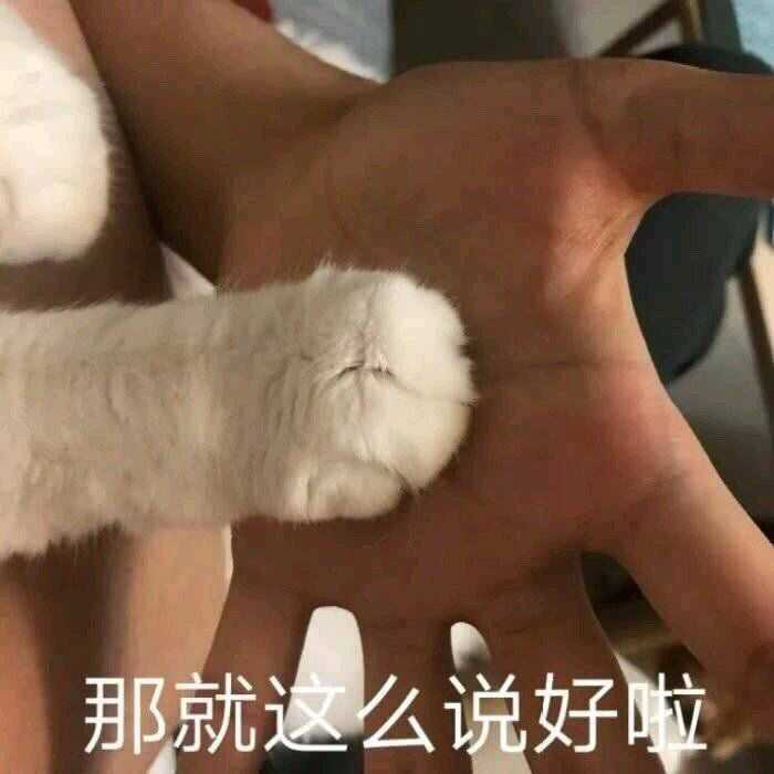 有哪些有趣的情侣黄色的表情包?