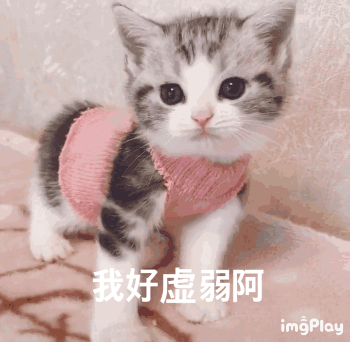 有哪些可以哄男朋友的段子或表情包?