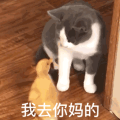 你都存了哪些沙雕表情包?