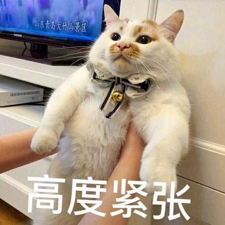 为什么有人说喜欢发猫表情包的男生是渣男?