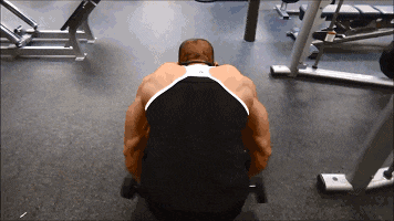 356_200gif 动态图 动图