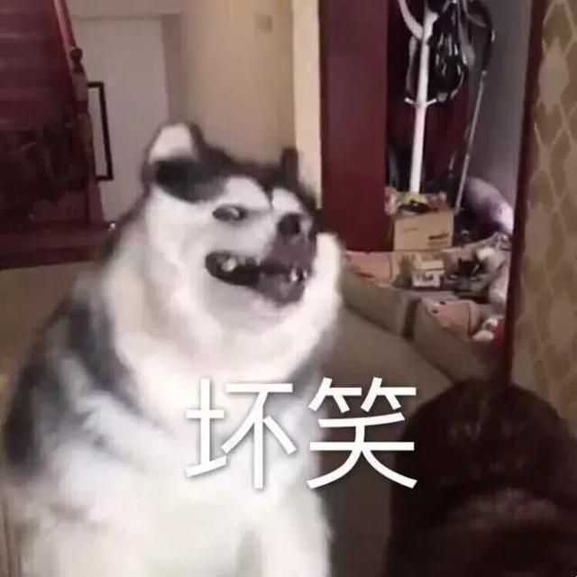 拜谢  