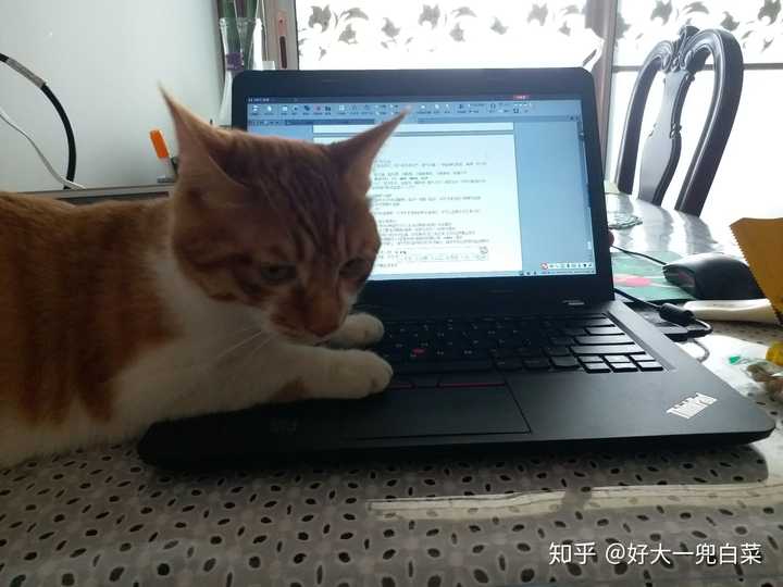 不要脸的的趴我电脑