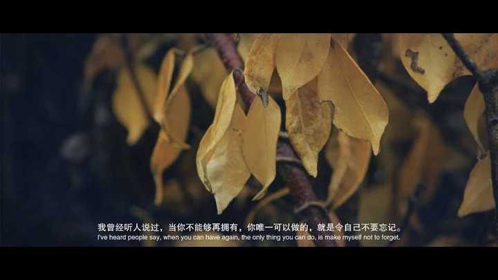 我曾经听人说过,当你不能够再拥有,你唯一可以做的,就是令自己不要