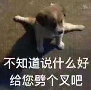 你水印里最搞笑的鱼干有哪些(关闭表情表情包手机图片