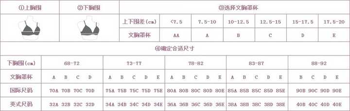 该如何选择正确的内衣尺码?