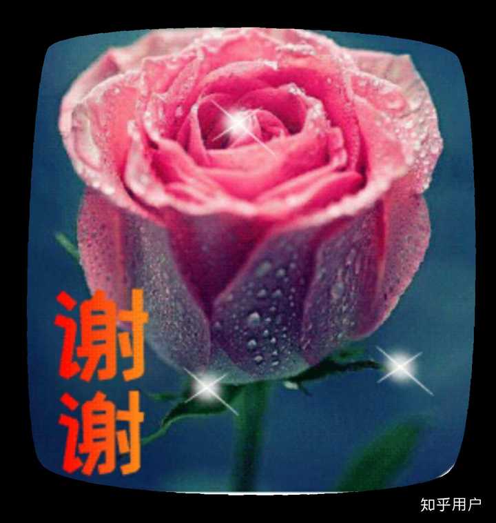 父母那个年代的表情包是什么样的?