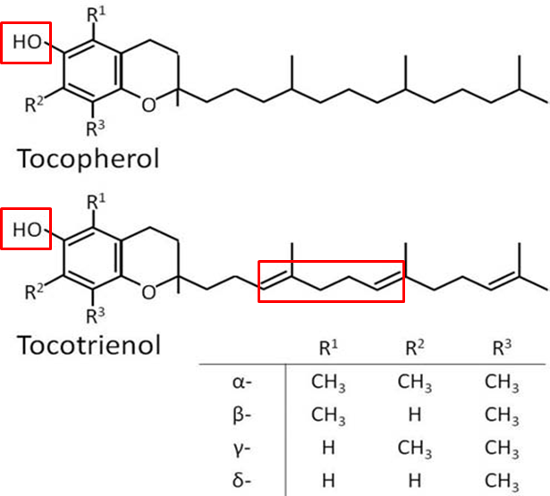 维生素e的八种不同化学结构