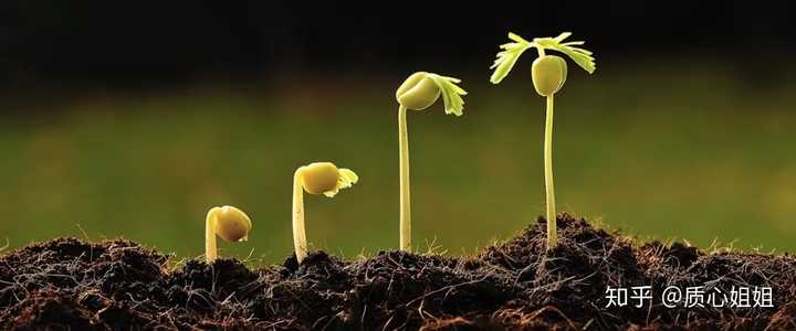 植物学是一门研究植物形态,生长发育,生理生态以及分类与系统进化的