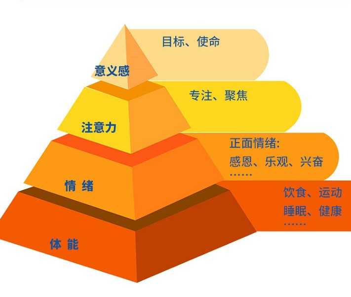 精力构成金字塔模型