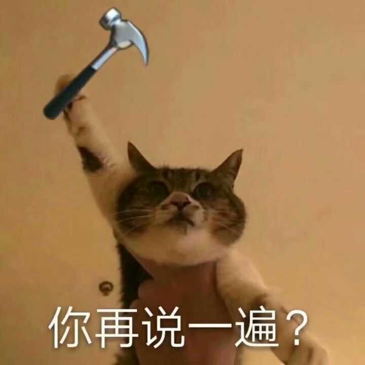 壁纸 动物 猫 猫咪 小猫 桌面 720_720