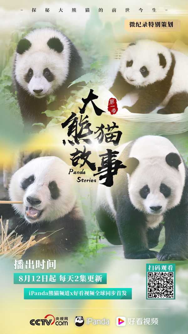 大熊猫故事# - 知乎