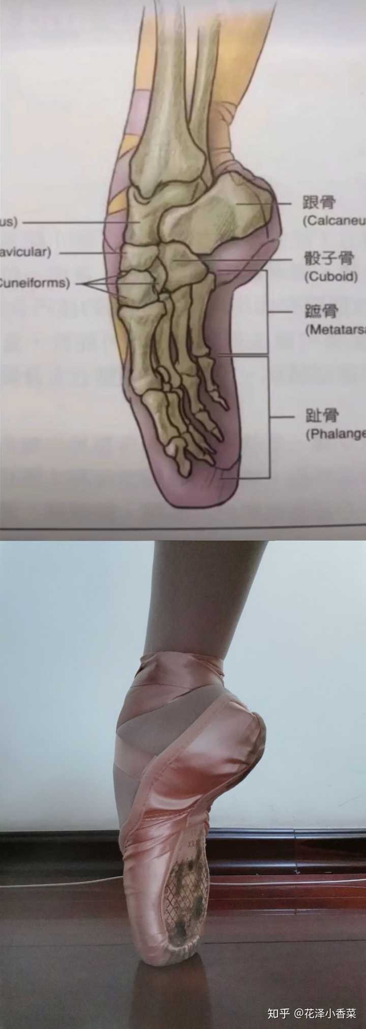 张兆艺的 之前b站有小姐姐温馨提示零基础别立足尖会骨折,她把评论