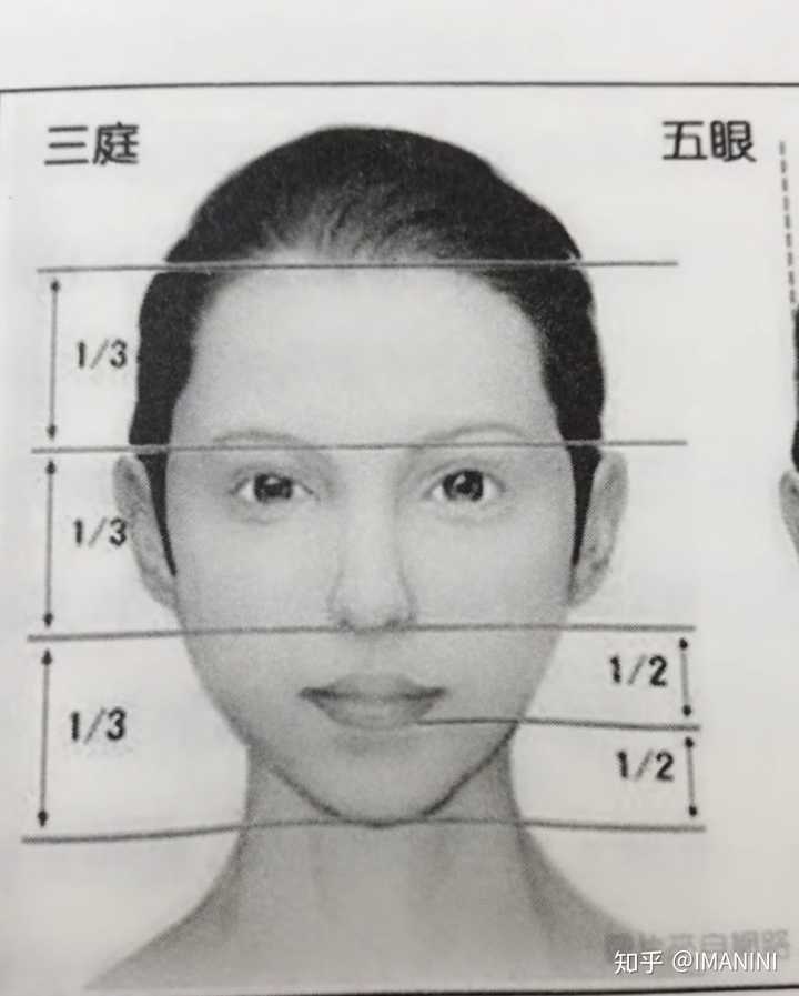 是因为头型符合他们的三庭五眼.