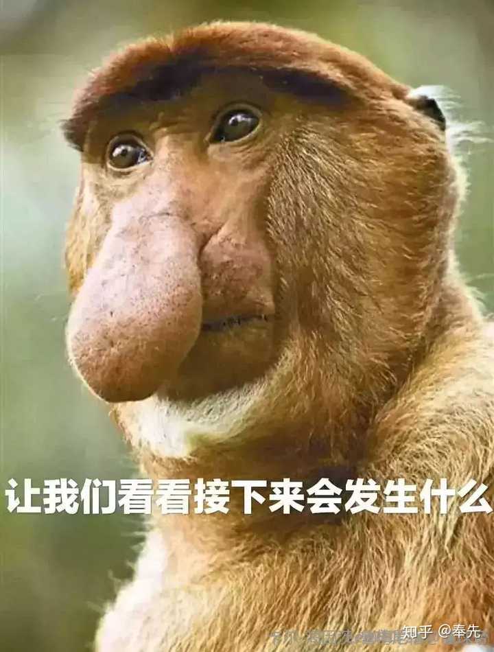 让我们看看接下来会发生什么吧