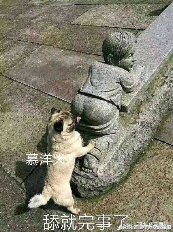 慕洋犬