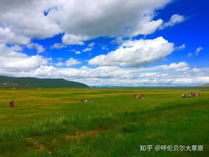 我的家乡呼伦贝尔大草原是世界最美草原,呼伦贝尔大草原是中国当今