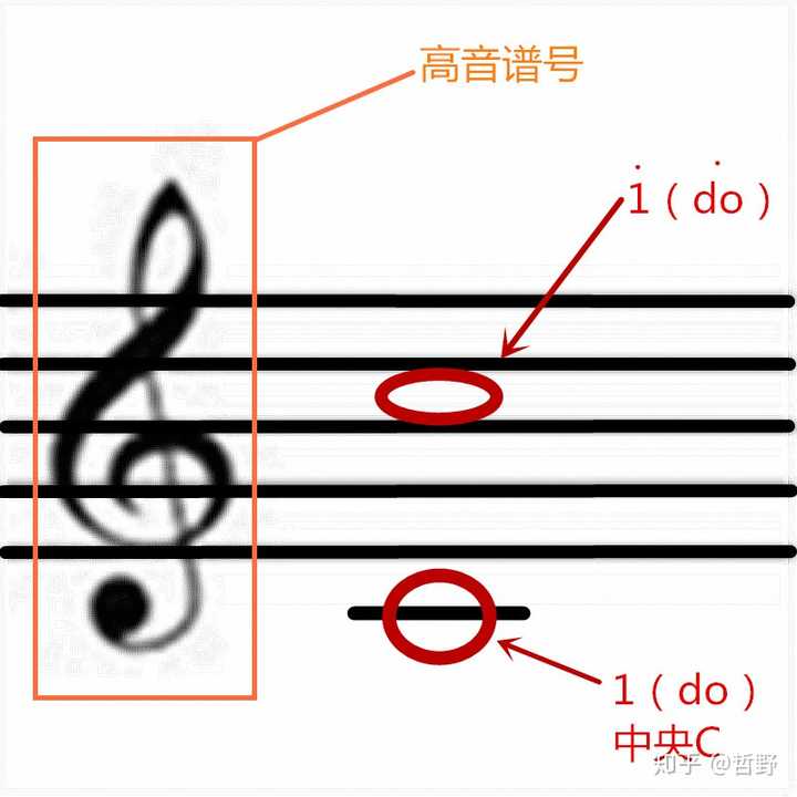 常用谱号有高音谱号"g谱号",中音谱号"c谱号"和低音谱号"f谱号" 我们