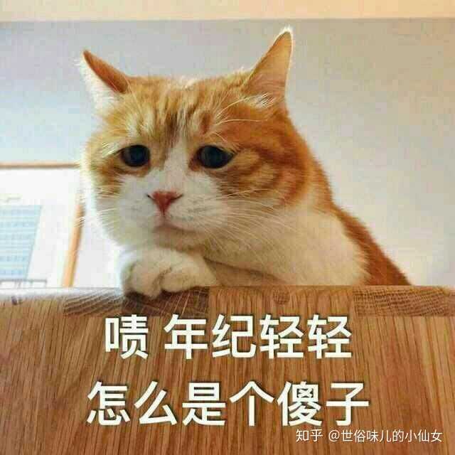 你最喜欢的一些表情包有哪些