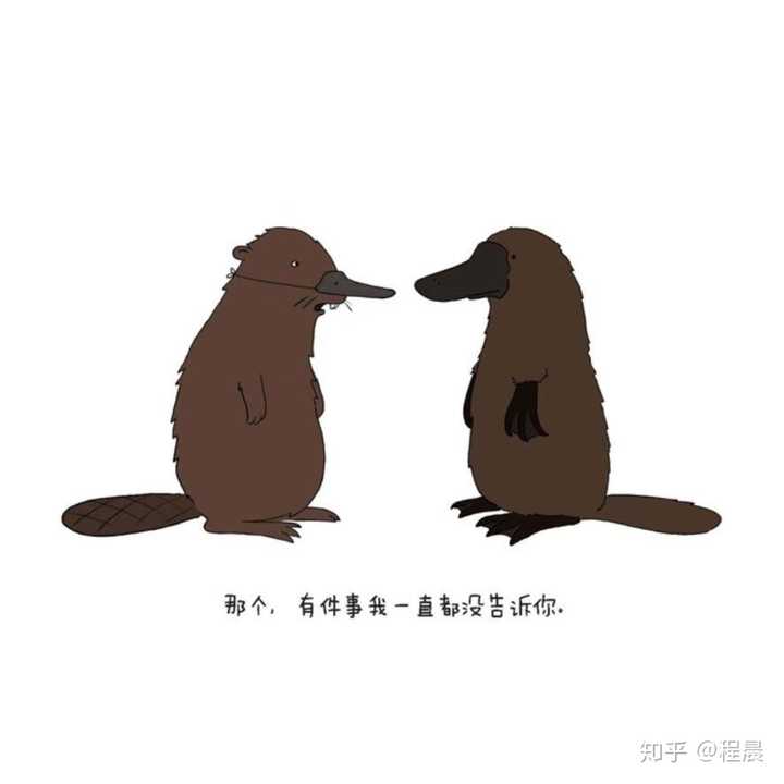 如何给爸妈或长辈选一个逼格高又符合他们年龄的头像?