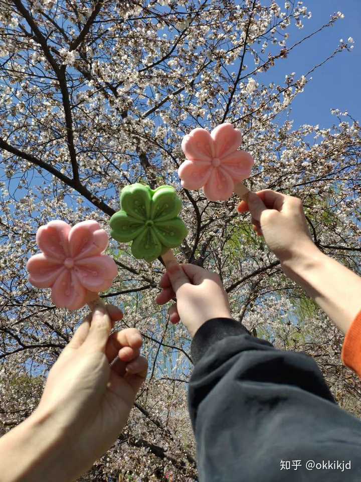 去年和朋友去玉渊潭公园吃的樱花雪糕,超级好看