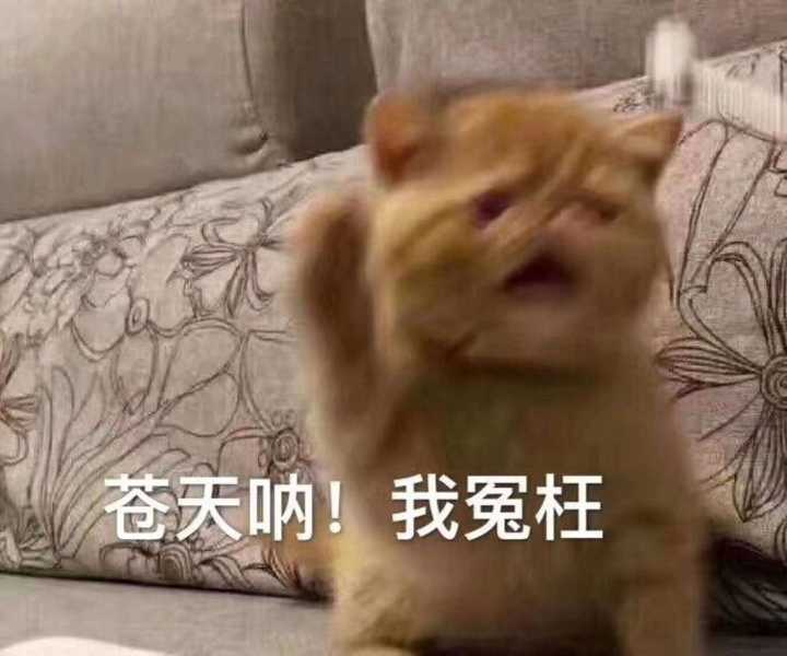 有什么笑到头掉的表情包?