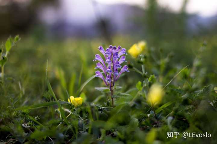 在你的摄影生涯里,用50mm定焦镜头拍出过哪些满意的作品?