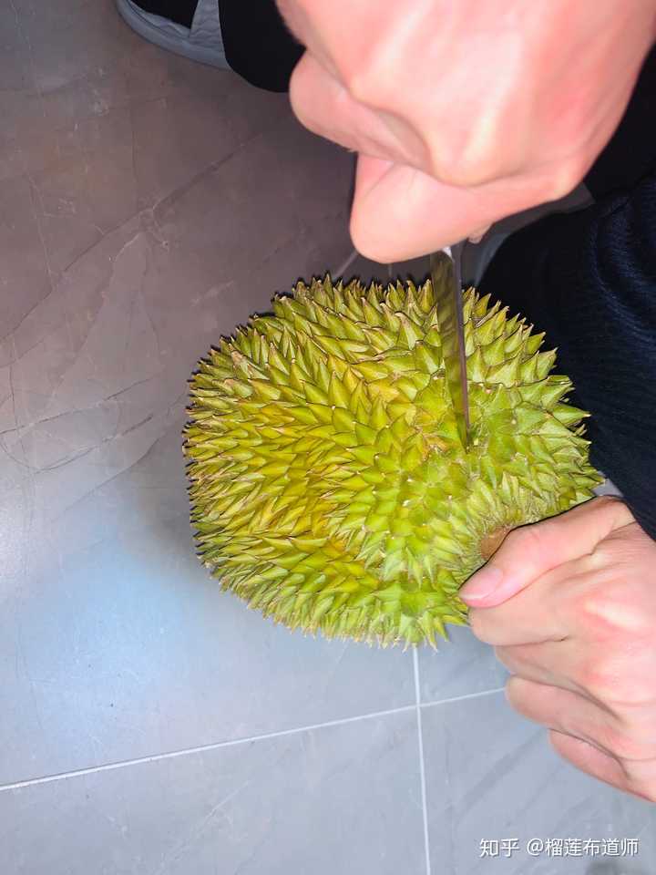 五斤的榴莲大概有多大?