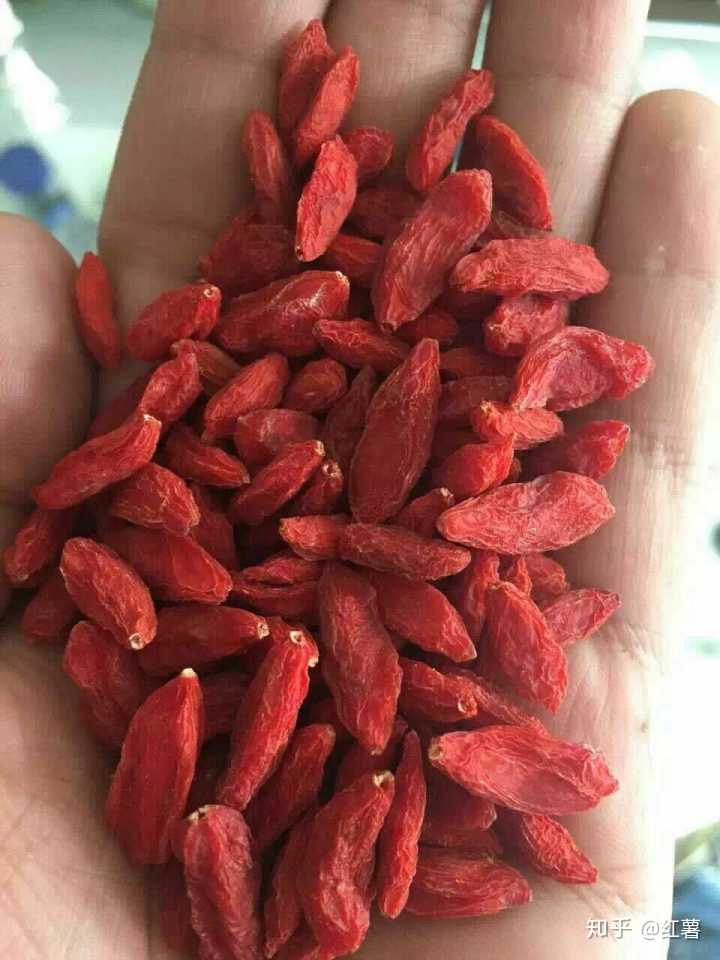 不起虫子的枸杞是好的,这里我来揭秘一下: 硫磺枸杞在制作过程中与原