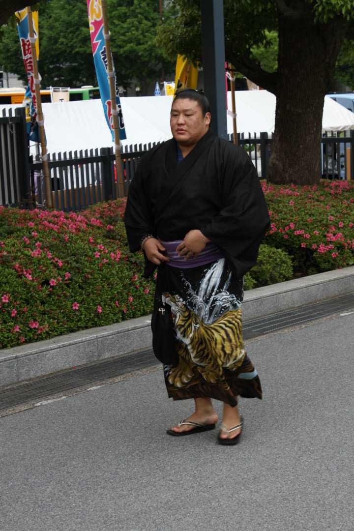 为何日本相扑选手普遍都是超级大胖子,而没有肌肉猛男