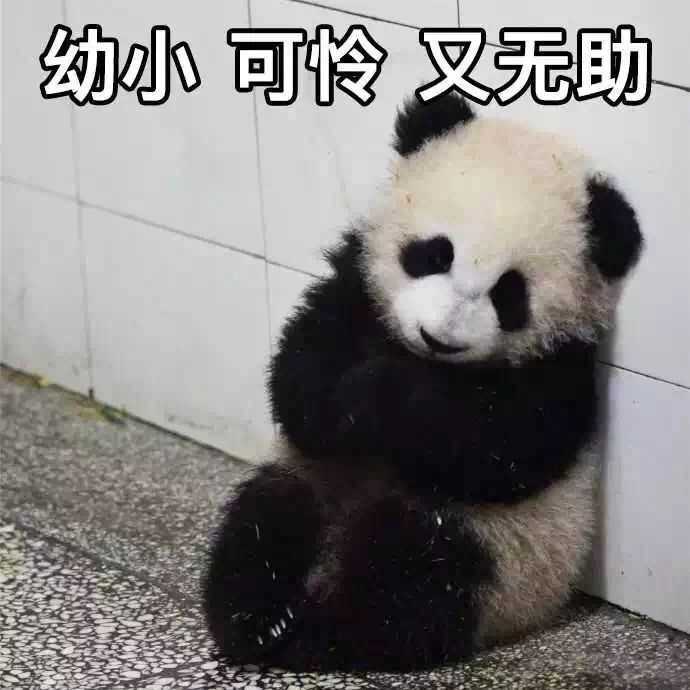 (叉腰!) 国宝在手,霸气我有!