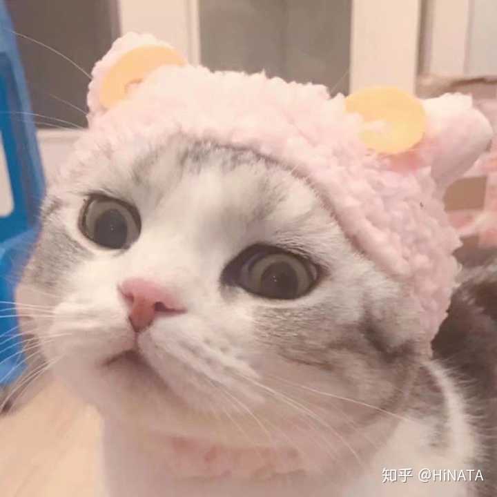 有哪些让人感觉这个人很可爱的女生头像?