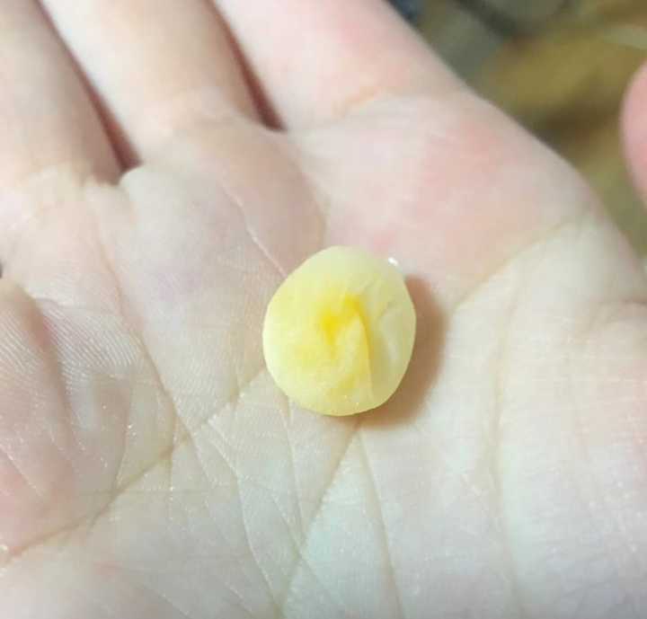养文鸟是一种什么体验?